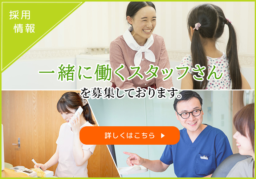 スタッフさんを募集しています！