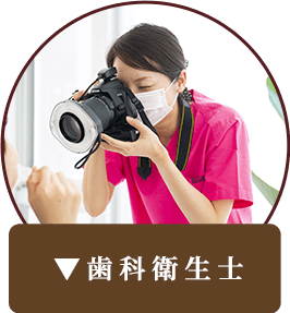 歯科衛生士