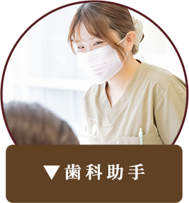 歯科助手